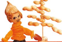 Creazioni con frutta secca frutta secca