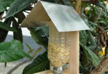 Mangiatoia per uccelli in kit Mangiatoia uccellini in kit